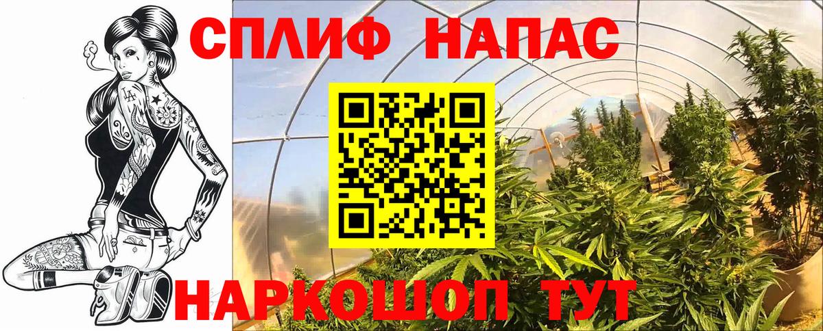 Марихуана конопля Ухта